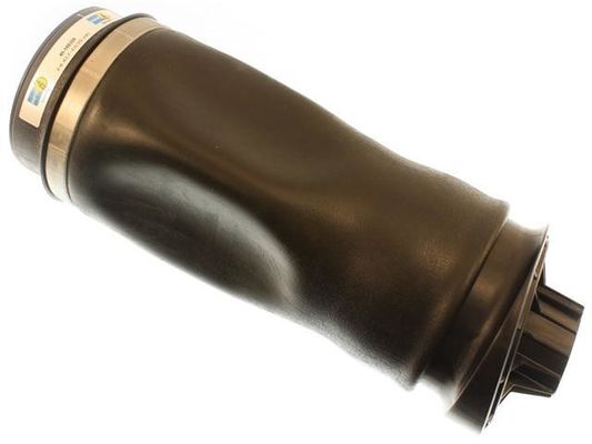2513200325 Bagian Suspensi Udara Air Spring