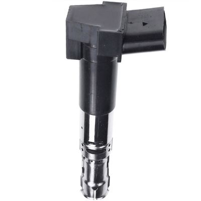 066905100C Bagian Mesin Koil pembakaran untuk VW PASSAT B5.5 Estate (3B6)