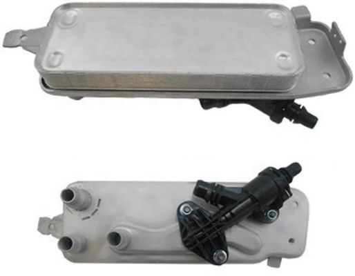 17217638678 Bagian Mesin BMW Oil Cooler