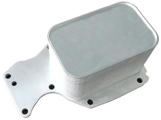 11428574005 Bagian Mesin BMW Oil Cooler