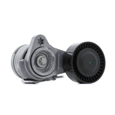BMW 11287530314 Bagian Mesin Penggerak Sabuk Tensioner Assembly
