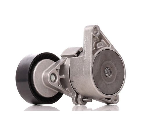 BMW 11281433571 Bagian Mesin A/C Serpentine Belt Tensioner Dengan Pulley